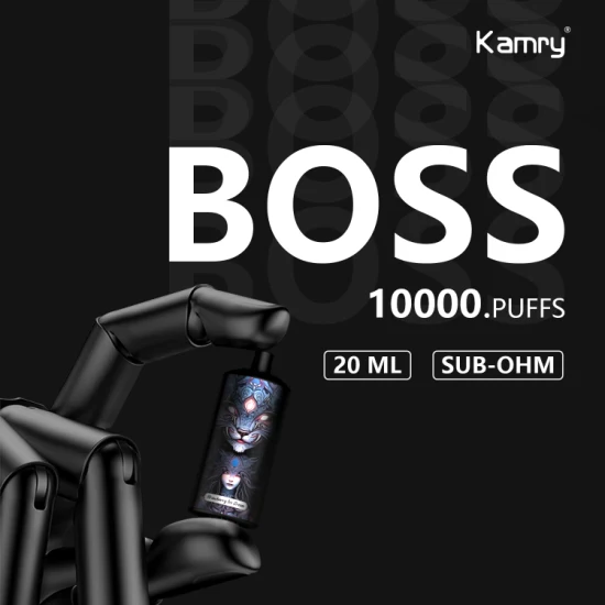 Kamry Boss Nuovo Arrivo 10000puff Bar Usa E Getta Vape Tipo C Carica Sigaretta Elettronica E Sigaretta